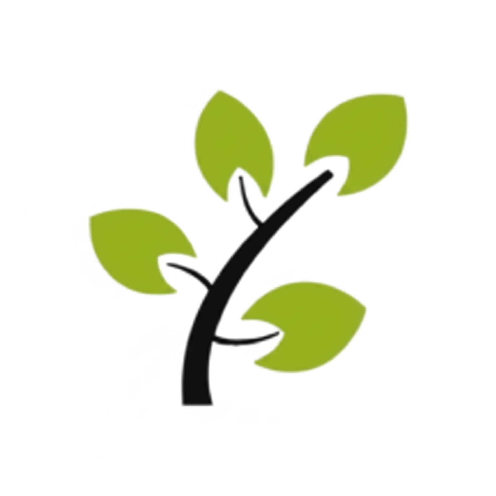 Mosquée El-Fath Logo